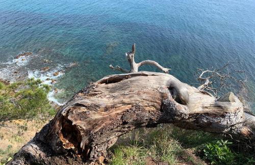 Studio calme 4 personnes 400 m de la plage sur la presqu'île de St mandrier proche toulon - Foto 27