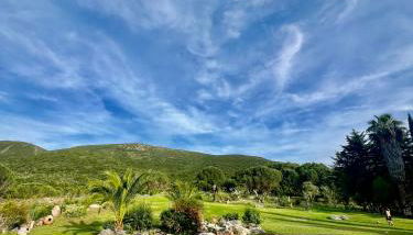 Quinta da Arrábida - Foto 5