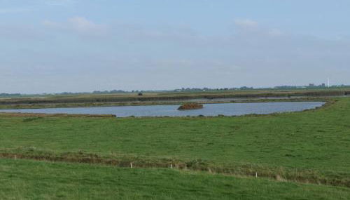 Gästehaus Hemmerdeich-alte Schule - Foto 5