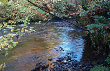 The Old Mill Cottage - Foto 52