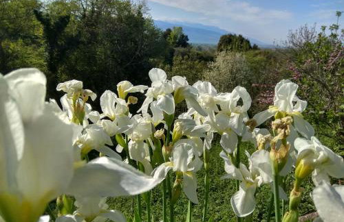 Stomio 4 Seasons Relaxing Apartment - Foto 33