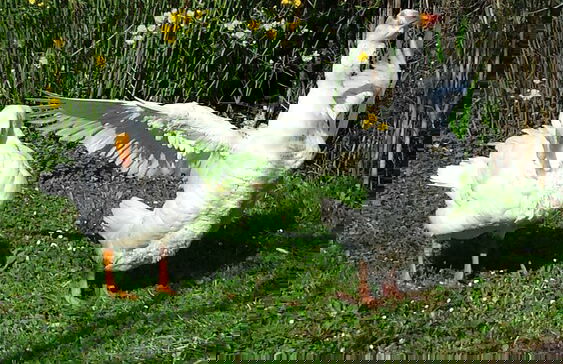 Agriturismo il Poggiarello - Photo 46