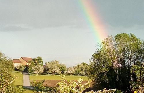 Gasthof Grüner Baum "Kongo" - Foto 17