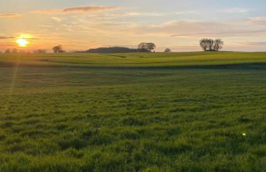 Schmuckstück in Ostseenähe - Foto 28