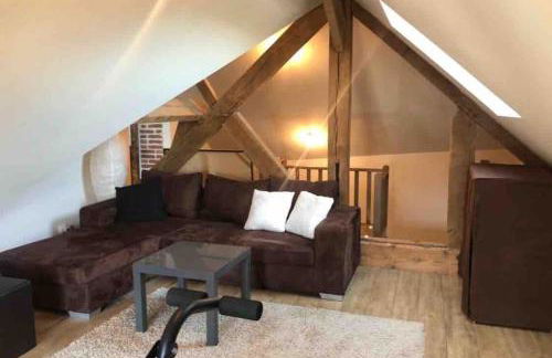 Belle demeure de 1820, classée, à 5 mn de Blois, 10 mn de Chambord - Foto 11