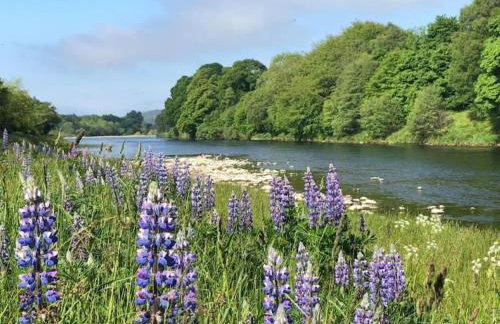 Lower Bruntlands - Foto 20