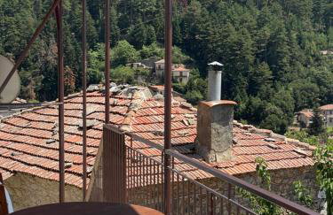 Forrest Guesthouse - Photo 16