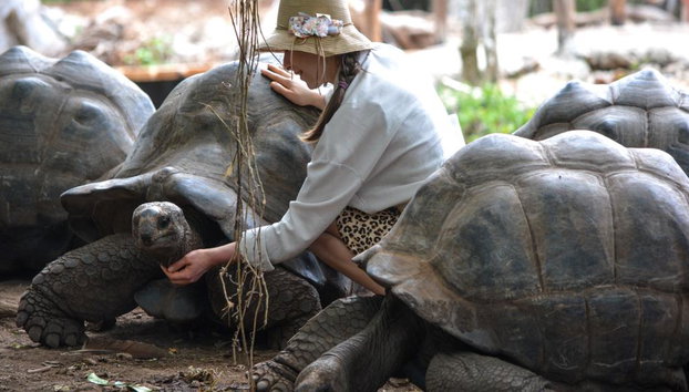 Excursión guiada a Prison Island y al bosque Jozani - Foto 2