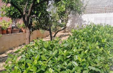 Fella Chalkida - Foto 40