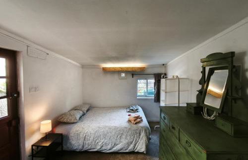 Agra Pet Studio I - Foto 9