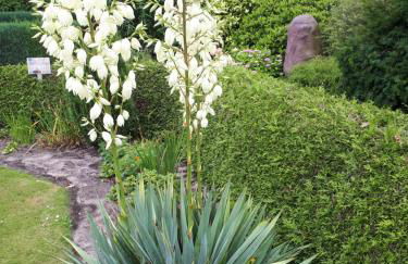 Preisbewusste Ferienwohnung für 2 Personen u. Kleinkind - Photo 17