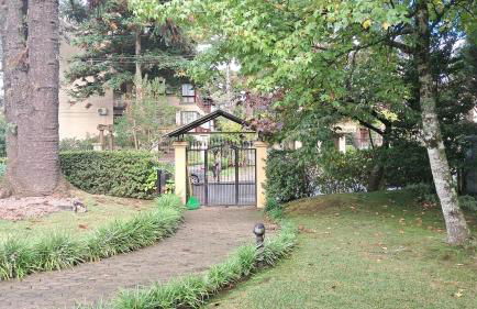 Monte Bianco - Foto 5