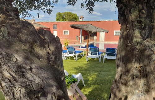 La Mazuela - Foto 12