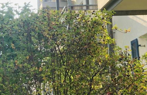 DomiLia Comfortable holiday residence - Foto 3