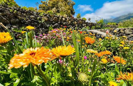 Finca Maracuya - Foto 3