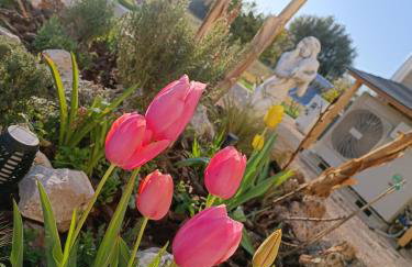 Nafplio Lodge - Foto 62