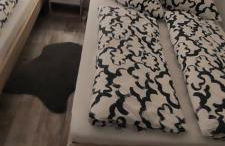 FeWo2&Bad Wurzach - Foto 2