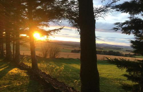 Green Yurt with Hot Tub - Sleeps 3 Parking & Pets - Photo 32