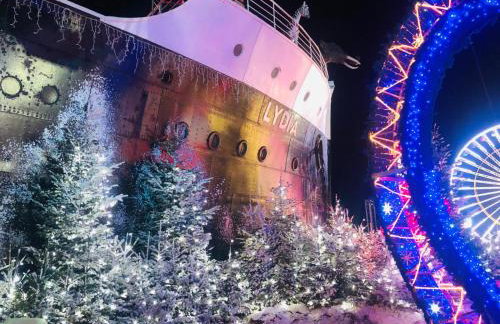 Azur, a 100m du marché de Noel, appartement 4 personnes et parking privé - Foto 40
