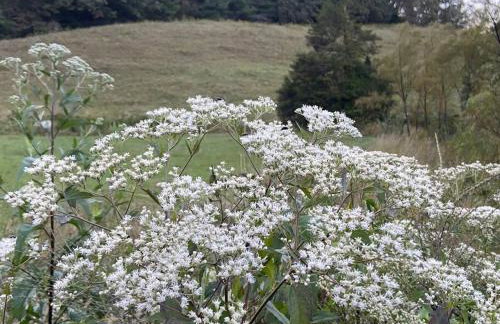 Sleeps 5-6 Near RRG-Hot Tub-Nice Sunrise-Quiet - Foto 77