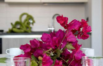 La Strelitzia Cervo Mare - Foto 11