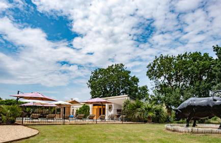 MAS PAPABIOU - Foto 2