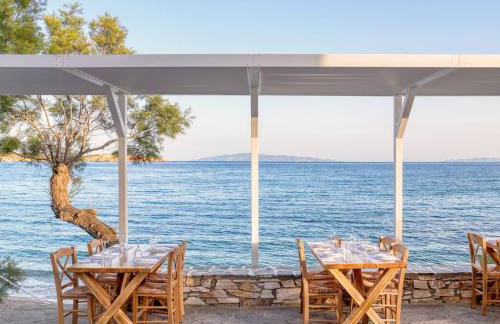 Tarsa Studios - Photo 12