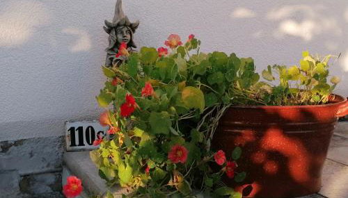 Käthes Sommerhaus - Foto 2, Garden