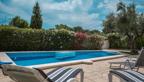 17 L Olivier - Foto 1