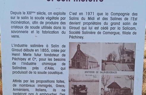 Les Oliviers de Camargue - Foto 17