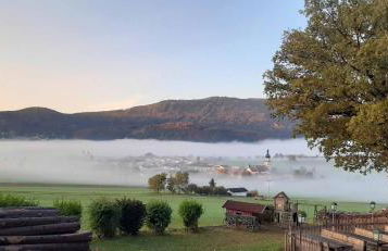 Gasthof Zum Wirt Ferienwohnung Hohenbogenblick - Foto 41