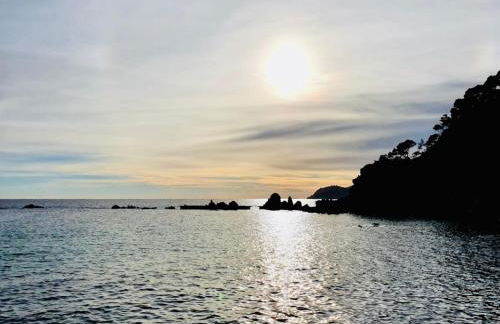 Canyet CostaBravaSi - Foto 34