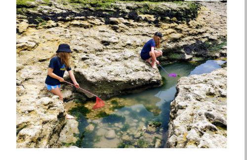 Maison 2 Chambres en Bord de Mer-Jardin & Animaux Acceptes, 400m de la Plage - Foto 30