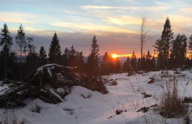 Dom Wakacyjny Letnisko - Foto 64