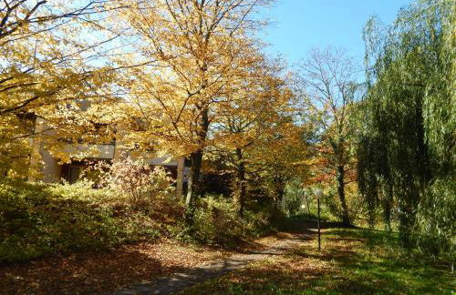 FREE Apartment - Bei den Thermen - Foto 55