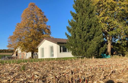 Büsingen am Hochrhein Radfahren, Wandern, Natur geniessen - Foto 8