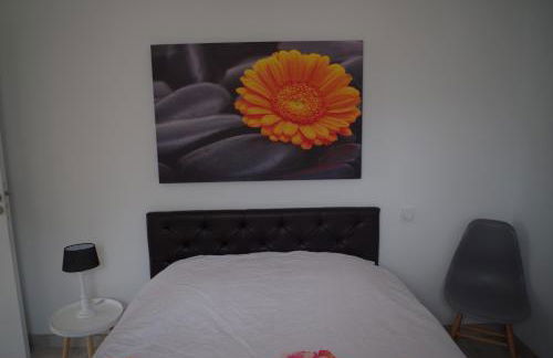 Ti Korelo Guidel - Foto 54