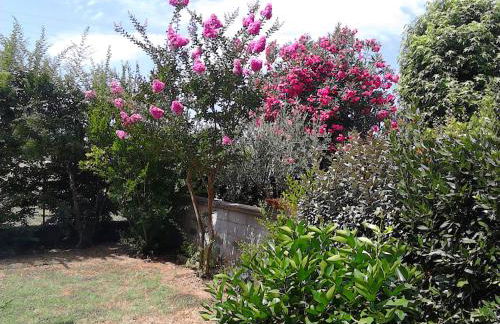 Bed And Breakfast Catherina - Foto 30