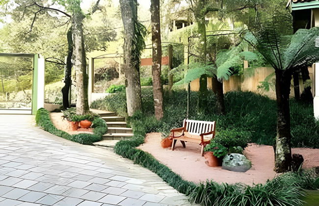 Siga Gramado - A pé - Conforto Completo - Foto 40