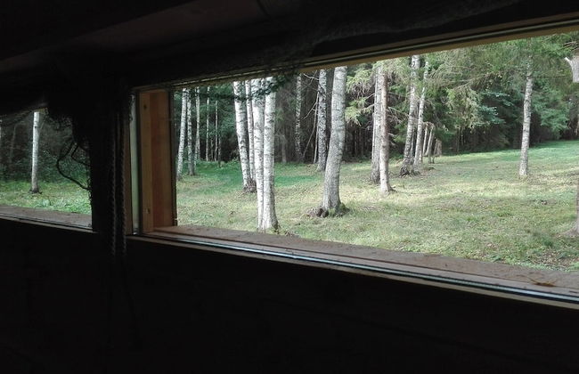 Bear Watching and Photography Hide - Foto 6