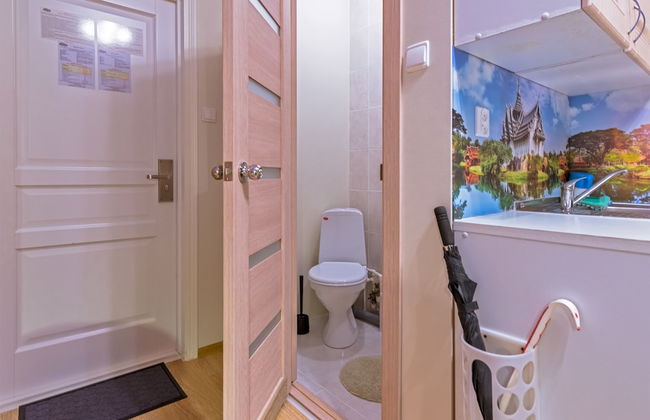 ColorSpb ApartHotel New Holland - Foto 57