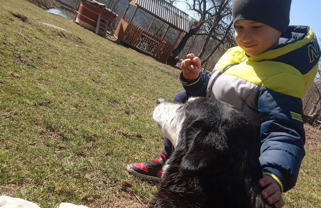 Rustic Wild Retreat IN Romania - Foto 31