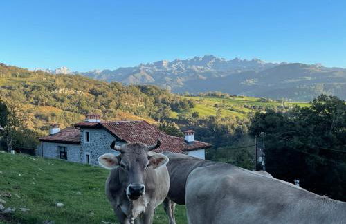 Apartamentos Picabel - Foto 69