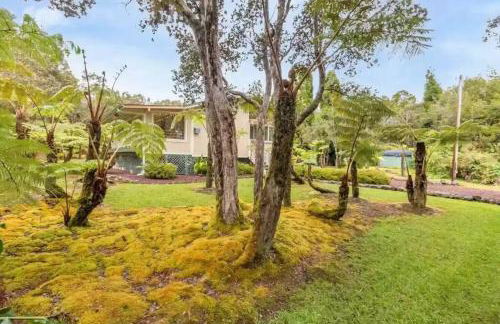 Hau'oli Place Tiki Cottage in Volcano - Foto 22