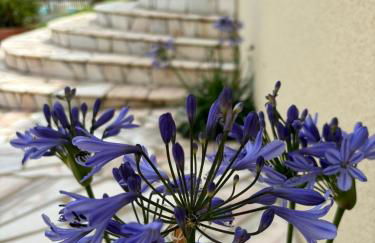 Gîte clair matin Classé 3 étoiles - Foto 37