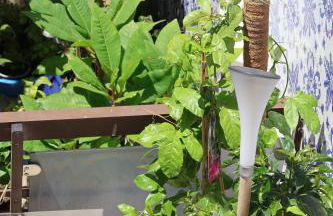 BBA1 Appartement climatisé centre-ville Ferrel - Foto 40