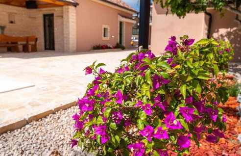 Beautiful Home In Benkovac With Sauna - Foto 16