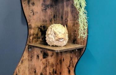 Maison atypique pour 4 personnes - proche plage - Foto 13