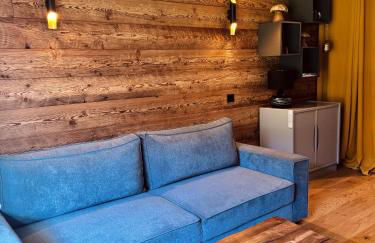 Superbe studio de montagne, au pied des pistes de ski, classé 3 étoiles - Foto 3