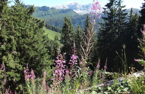 Chalet Les Trappeurs - Foto 32